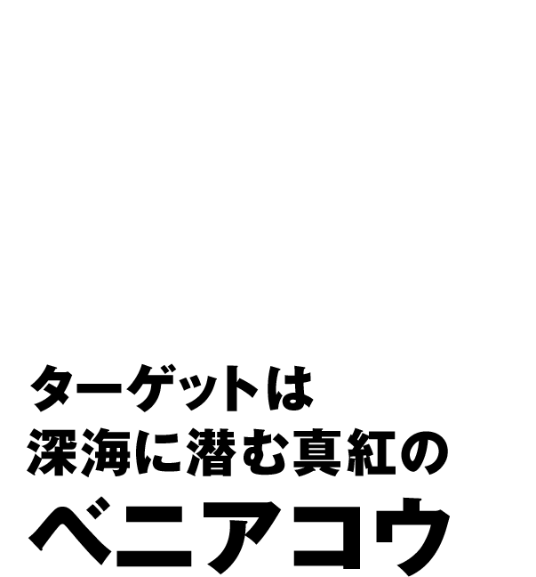 初めてでも安心!ターゲットは深海に潜む真紅のベニアコウ